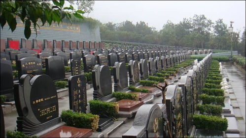 坟地风水宝地的判断
