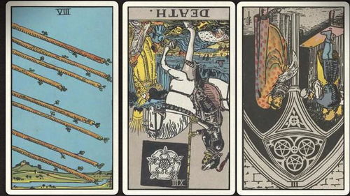 双鱼座：规划能力提升与事业稳步推进