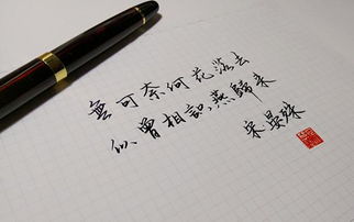 侃侃而谈的女孩你怕不怕