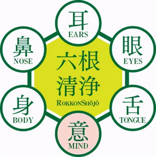 六根未净指的是哪个生肖？六根清净又是哪个生肖？这两个生肖分别是什么意思？