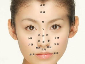 看人脸色也是门技术活！