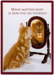 照猫画虎打一生肖，哪个生肖尾巴特长？