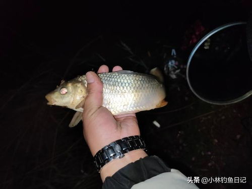 龙门镇的神秘传说