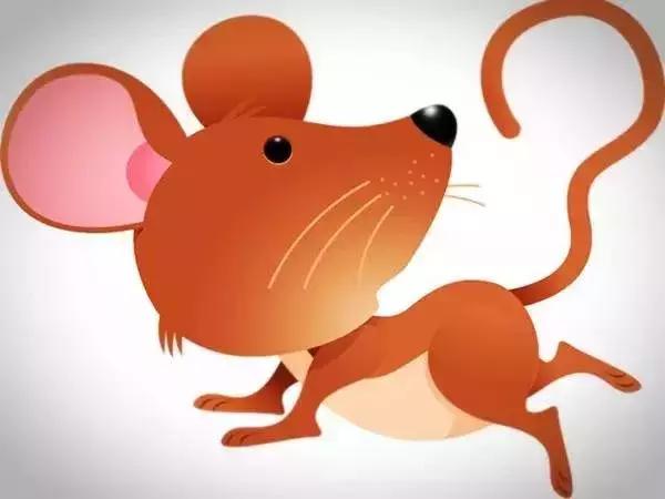 生肖鸡和牛相克吗？鸡与龙属相合不合？