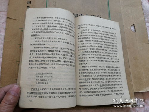 ：命理视域下的孤独本质与“孤辰空月厌”之解析