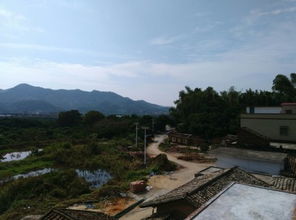 长春风水大师中，哪位师傅看风水评价最高？