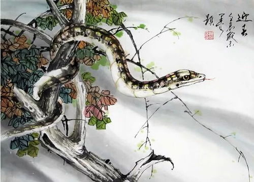 十二生肖三合贵人关系表具体是什么含义？