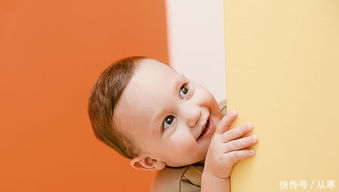 梗多 猪年宝宝取名宜用字