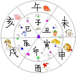 女命占卜时为什么一定要提供出生的时辰呢？