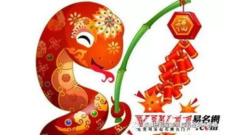 属蛇2026年全年运势具体包括哪些方面？