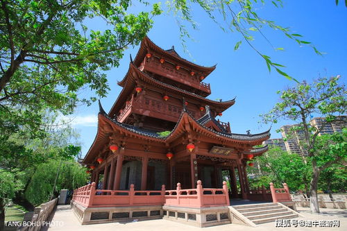 八、 情感纠葛与生活细节——从婚姻关系到佯狂行为的心理状态剖析