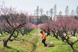 三、 景点：拍照就行，别问为什么