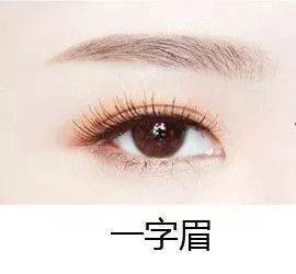 四、 眉毛形态与性格坚毅度及情感表达