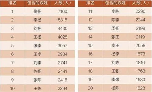 综合评价与命名建议