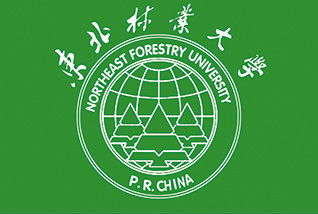 ：校园文化在精神引领、 行为规范与环境育人三层境界中的关键作用