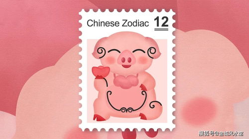 城在十二生肖中究竟属于哪个生肖？