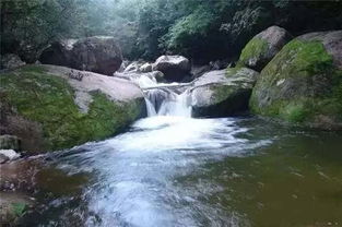 门票系统就是个笑话