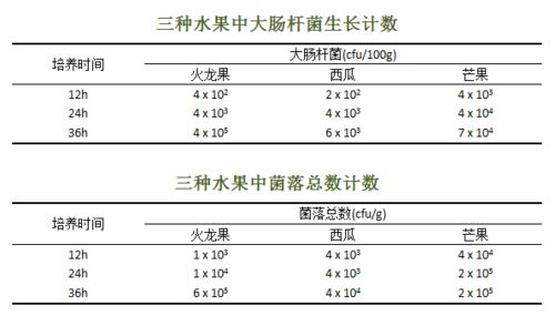 一、  认知架构与智力禀赋：流动的智慧与艺术灵性