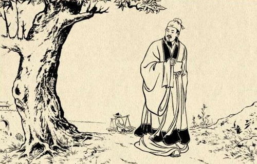 第三章：风水学解读——墓穴能量与“阳单阴煞”的作用于 (2800字)