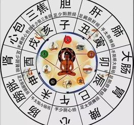 马年午时出生，属马哪个时辰八字蕞好命？