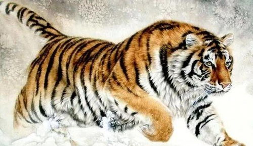 1998年属虎人在2026年的健康和运势会有哪些具体变化和影响？