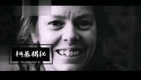 案例背景与文本梗概