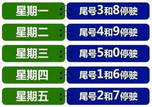 一、 背景与意义阐述——关于“车牌号码吉凶””之学术探讨概览