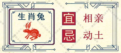 生肖兔：今天还不错啦