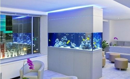 1. 鱼缸的风水象征与聚财效应