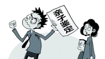 四、 实践建议：兼顾环境优化与情绪调适