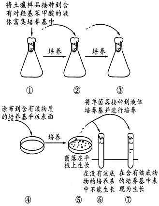 长勺男宝起名：如何巧妙地制定一个既独特又吉祥的起名秘籍