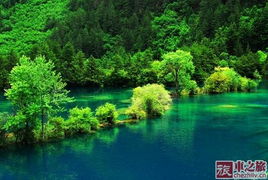 九寨沟学生优惠门票市场价格及避坑指南（2024最崭新版， 附吐槽）