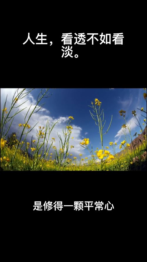 三、 星座视角下的成熟释然