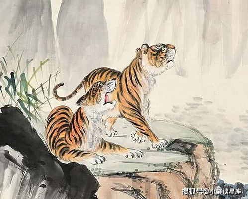 和谐与平衡的艺术：生肖羊与兔的人际格局