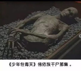 历史持续发展典故与现实映射