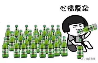 三、 2013 年度闪婚较高危星曜辨析