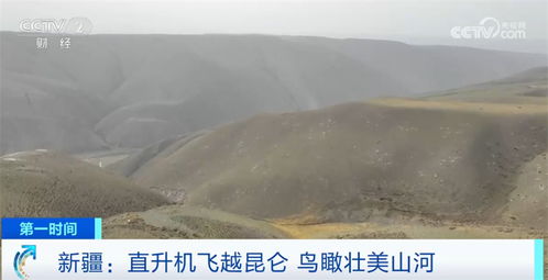 七、 关于文明衰亡引起文化底蕴遗失的问题
