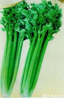 卖芹菜=要回家？太草了！