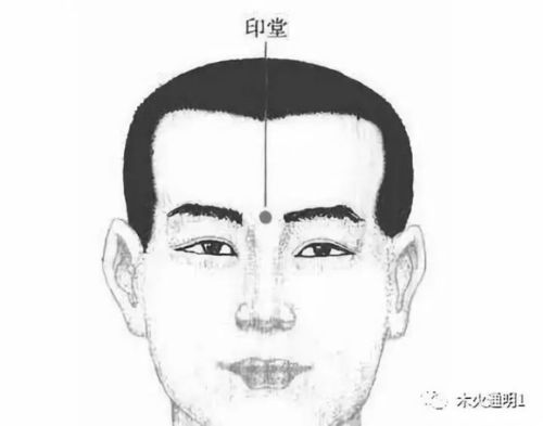 3. 事业与职业发展运势