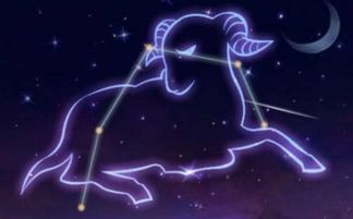 天蝎座与白羊座：两类截然不同的依恋模式