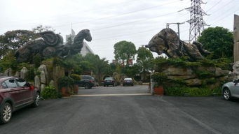 ：大门两侧植树习俗的文化溯源与风水学理