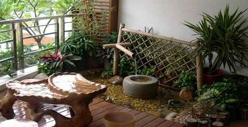 三、现代家居中的植物摆放禁忌