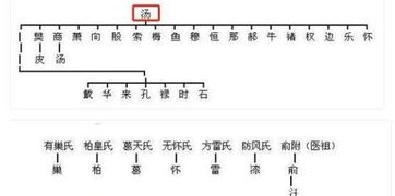 2.2 上下结构：层次分明中的秩序感
