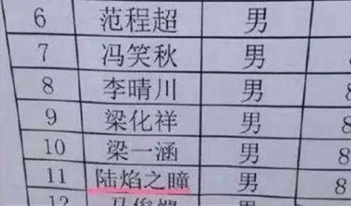 四、 命名习惯与文化底蕴语境交织