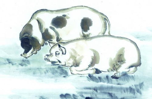 12月里哪个生肖的桃花运最为旺盛？