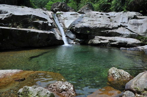 出山泉水是什么生肖？出山泉水打一生肖指的是哪个生肖？