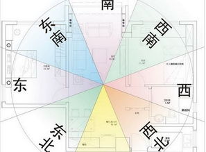 2. 物品分类与空间秩序重构