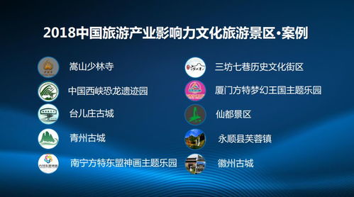 失利案例解析