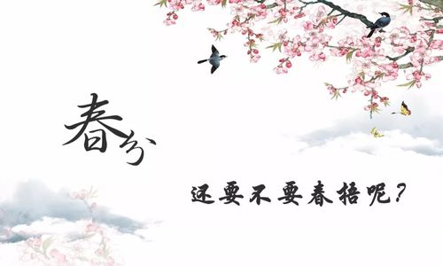 民俗风情：祭鱼、 走春与汤圆等传统活动