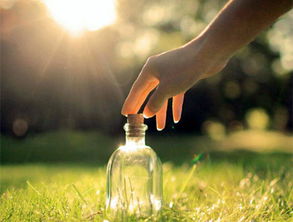 1. 风水轮：财运与健康的流动循环